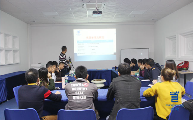 廣東防水區(qū)域經(jīng)理作工作匯報(bào) 廣東防水