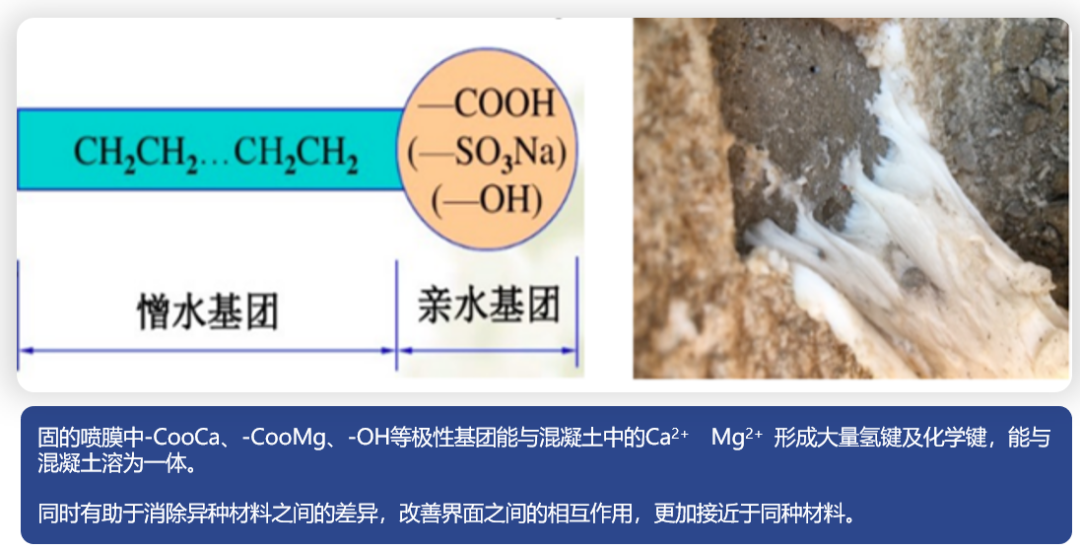 丙烯酸鹽噴膜防水材料 丙烯酸鹽噴膜防水材料