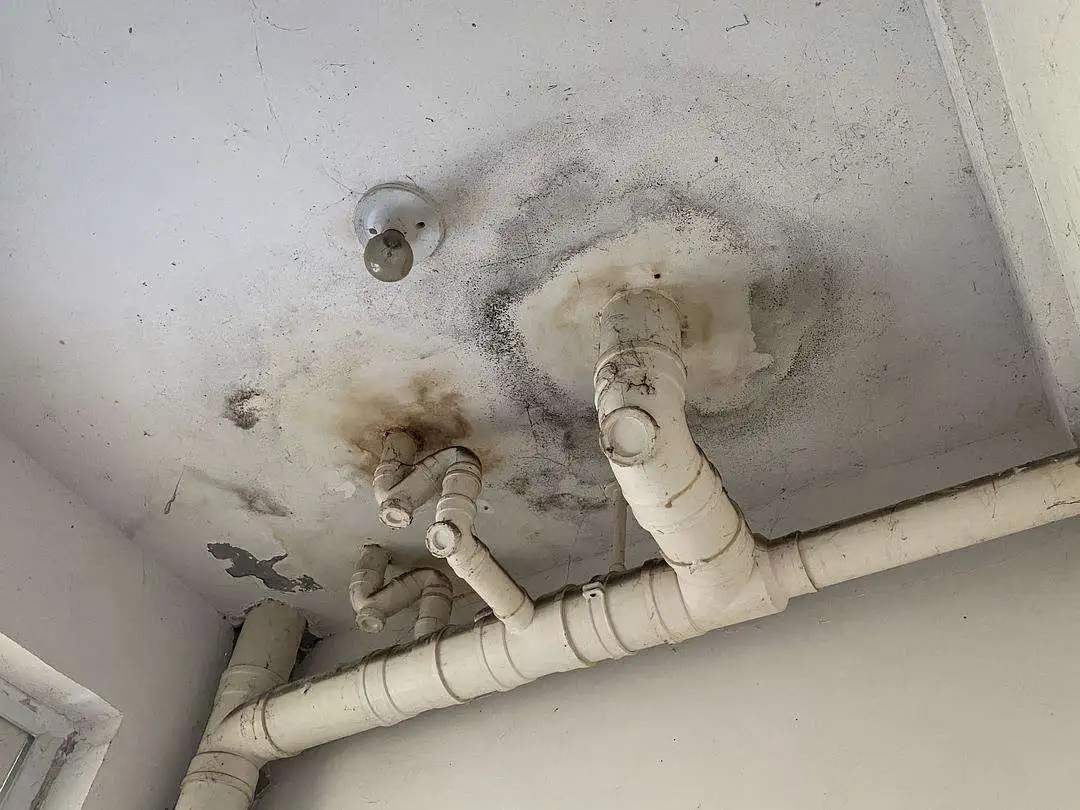 衛(wèi)生間漏水反復(fù)修不好？一文教你徹底根治！